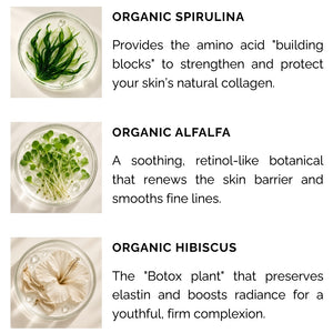 Hydrating Moisturizer