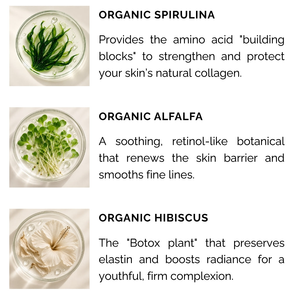 Hydrating Moisturizer