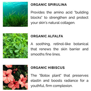 Hydrating Moisturizer